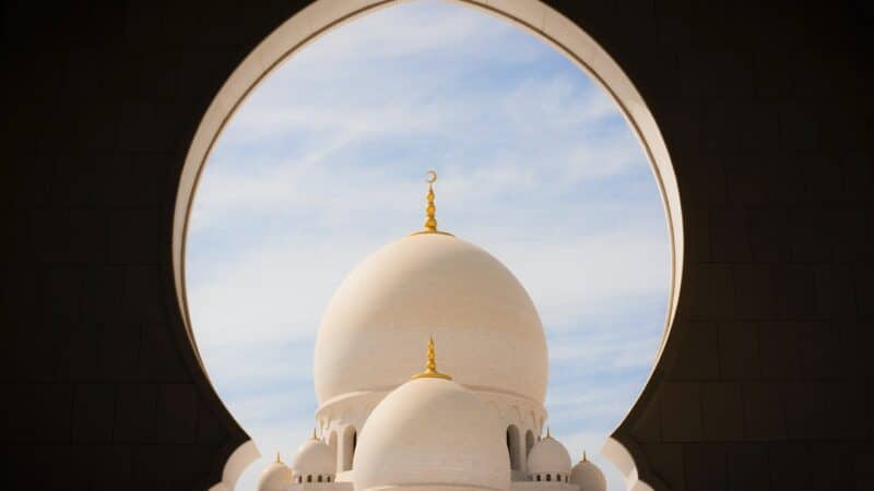 Whats HalalSearch is all about